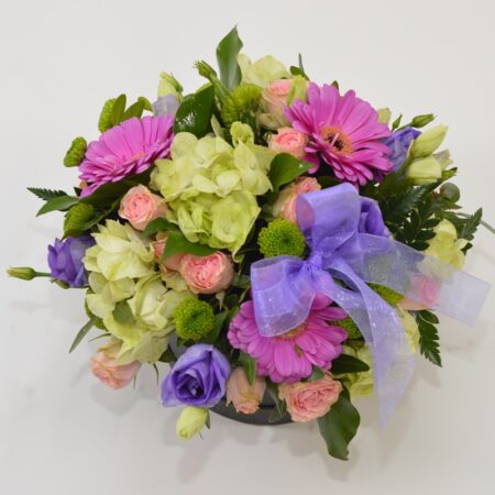 Cutia colorata - imagine 2